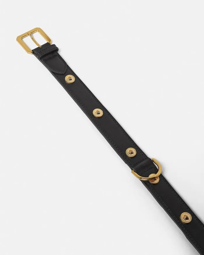 Icon Large Pet Collar Black Home and Lifestyle Versace Pet Accessories