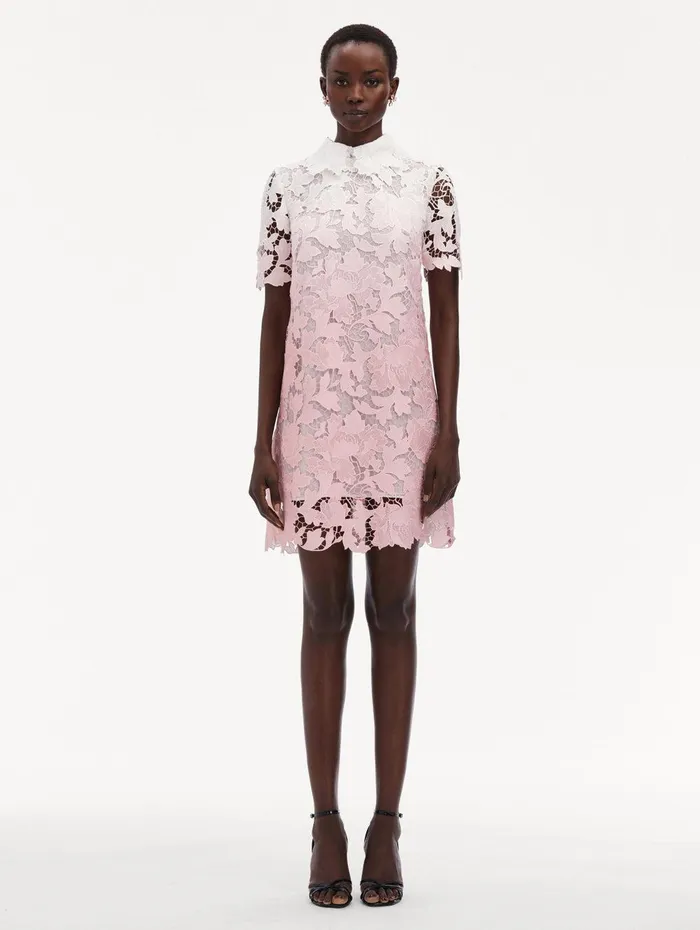 Ombr Peony Guipure Shift Dress Soft Pink Women Oscar De La Renta Dresses Ombr Peony Guipure Shift Dress Soft Pink Women Oscar De La Renta Dresses