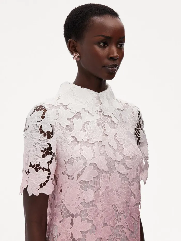 Ombr Peony Guipure Shift Dress Soft Pink Women Oscar De La Renta Dresses Ombr Peony Guipure Shift Dress Soft Pink Women Oscar De La Renta Dresses