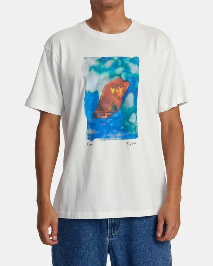 RVCA Short Sleeves Colin Sussingham Float Tee Antique White 8211 Men