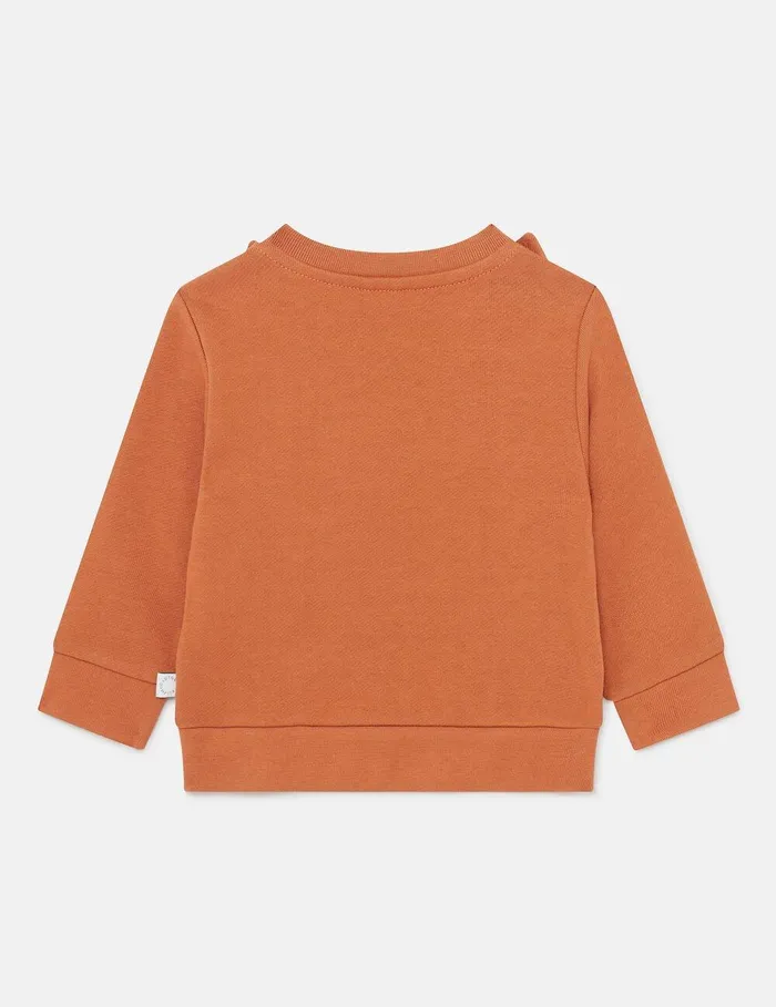 Stella McCartney Baby Boys Kids Horse Graphic Sweatshirt Brown