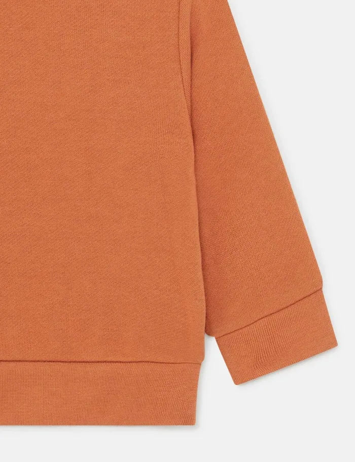 Stella McCartney Baby Boys Kids Horse Graphic Sweatshirt Brown