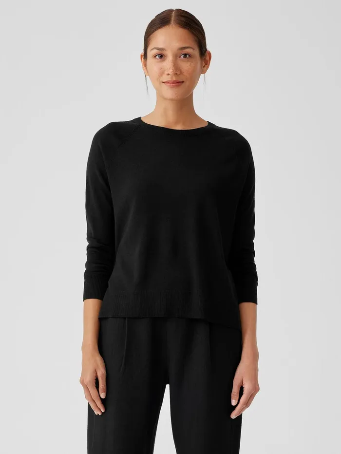 Sweaters and Cardigans Women Eileen Fisher Fine Merino Jersey Crew Neck Top In Regenerative Wool Black Sweaters and Cardigans Women Eileen Fisher Fine Merino Jersey Crew Neck Top In Regenerative Wool Black
