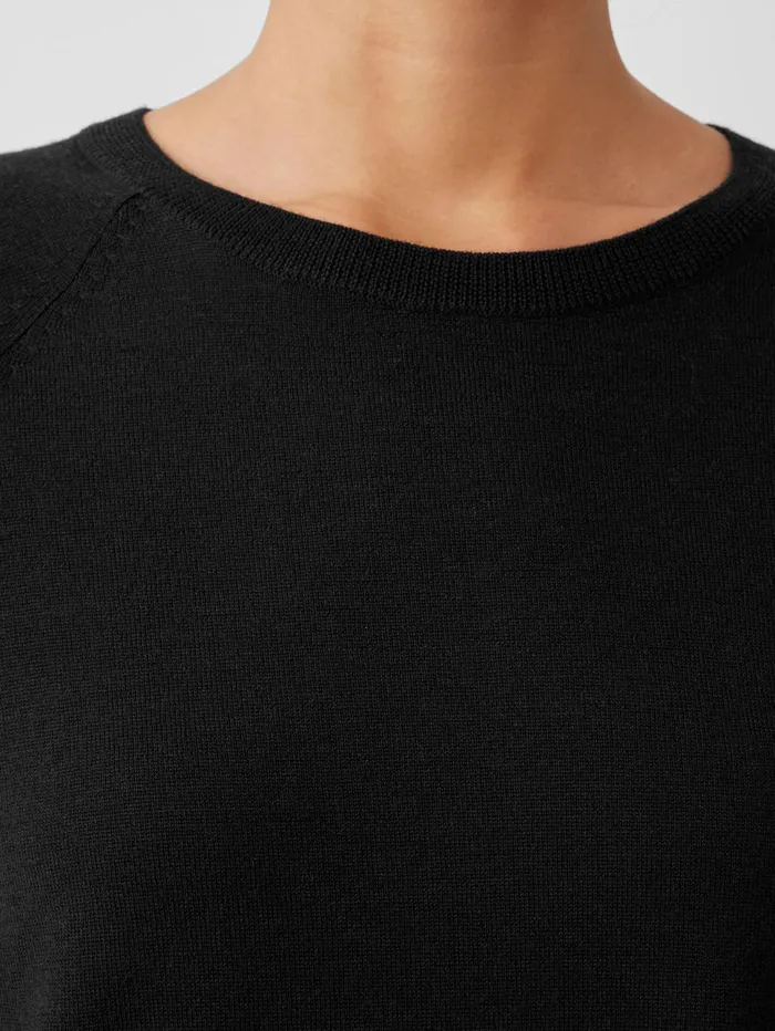 Sweaters and Cardigans Women Eileen Fisher Fine Merino Jersey Crew Neck Top In Regenerative Wool Black