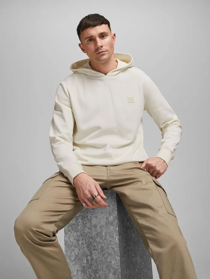 Sweatshirts JACK and JONES Mens PLAIN HOODIE White Egret Casaul