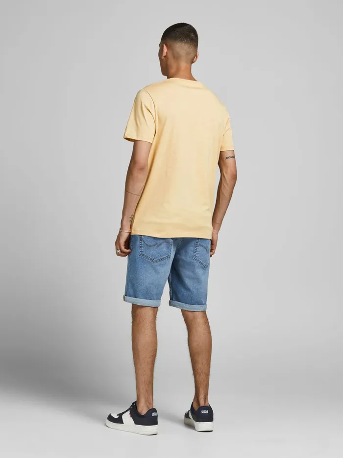Tshirts JACK and JONES Mens PASTIS PETANQUE PRINT TSHIRT Pastel Sahara Sun For Sale
