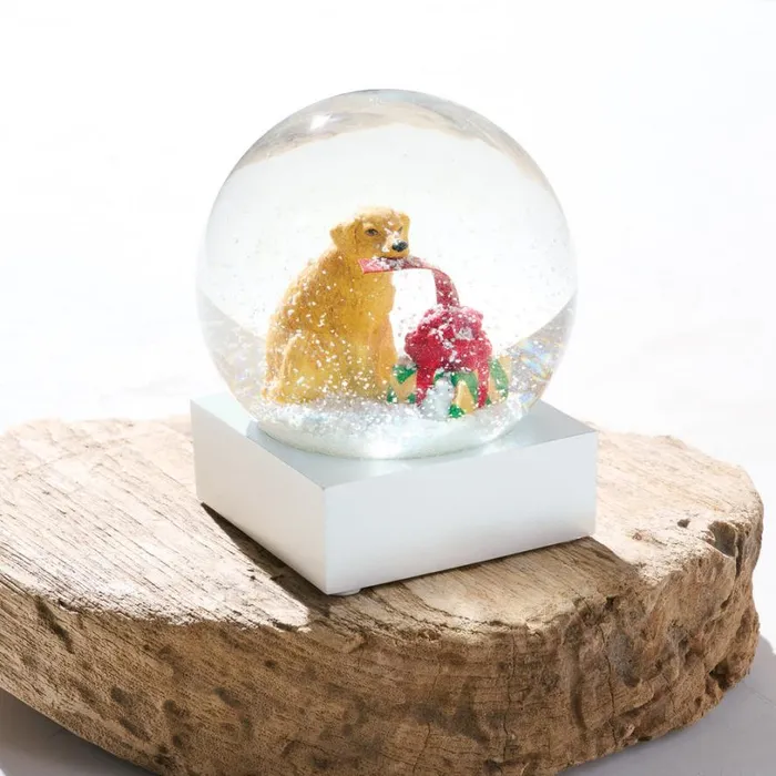 Women Christmas Morning Snow Globe Sundance Catalog Seasonal