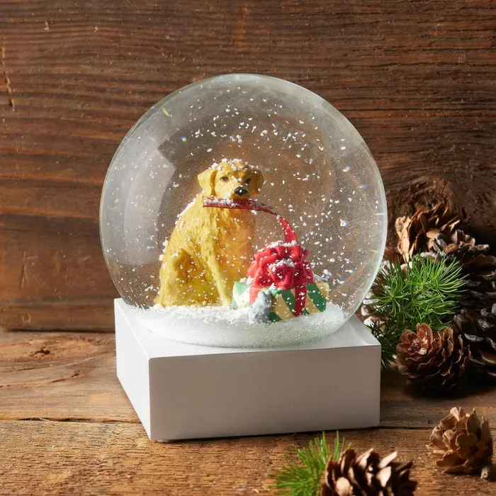 Women Christmas Morning Snow Globe Sundance Catalog Seasonal Women Christmas Morning Snow Globe Sundance Catalog Seasonal