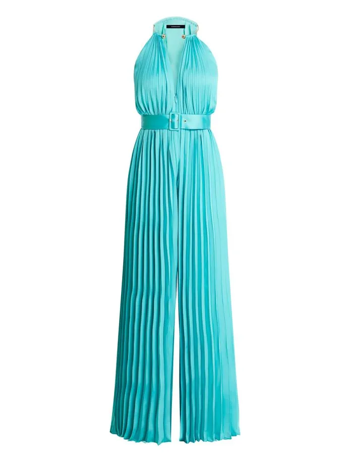 Women Libby Wide Leg Belted Jumpsuit Polynya BCBG Jumpsuits and Rompers Women Libby Wide Leg Belted Jumpsuit Polynya BCBG Jumpsuits and Rompers