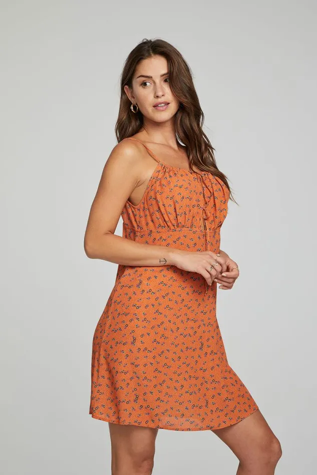 Womens Chaser Brand Dresses Ashland Mini Dress 8211 Tigerlily