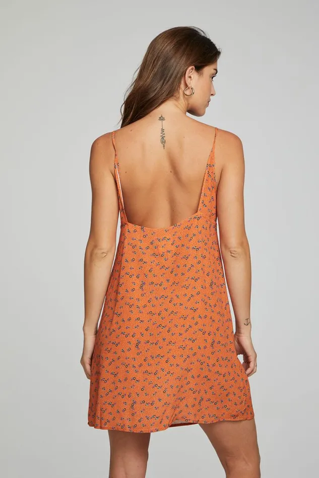 Womens Chaser Brand Dresses Ashland Mini Dress 8211 Tigerlily