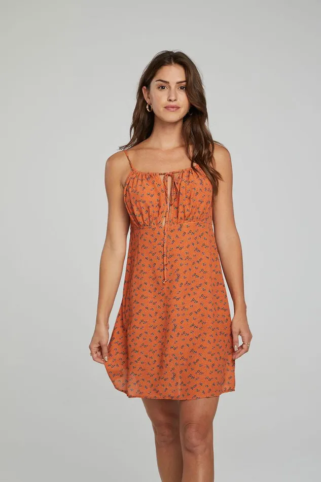 Womens Chaser Brand Dresses Ashland Mini Dress 8211 Tigerlily