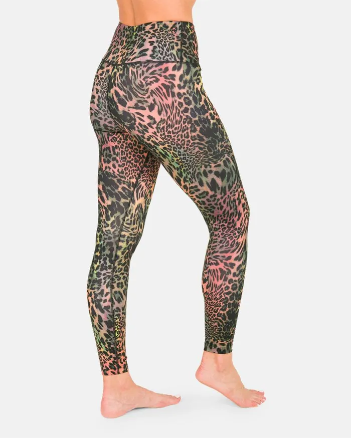 Womens VScience Pants 8211 Acid Womens Volcom Layering